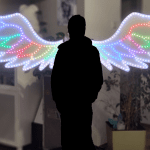 Photo der Selfiewings