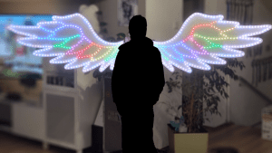 Photo der Selfiewings